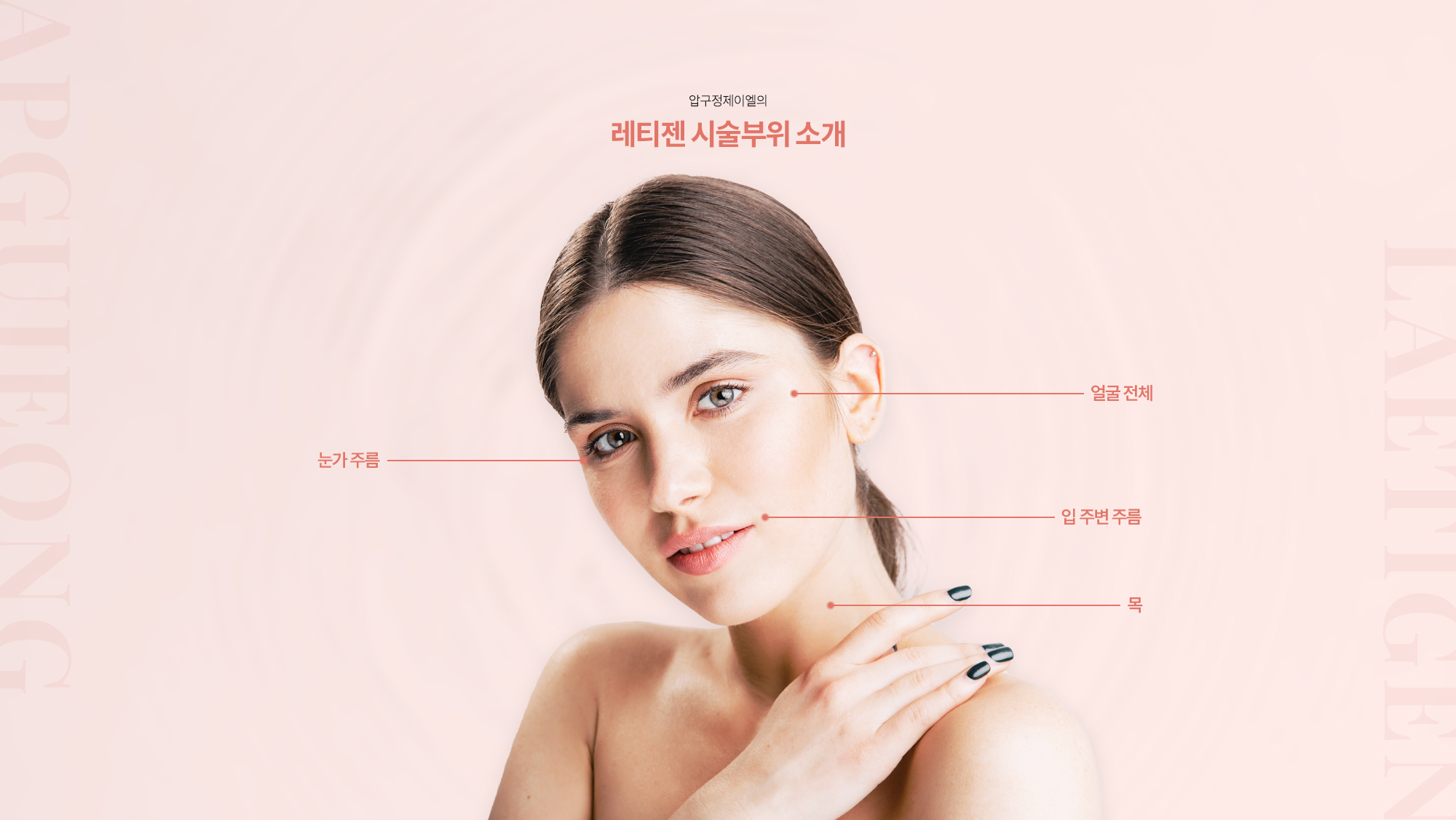 레티젠 시술부위소개