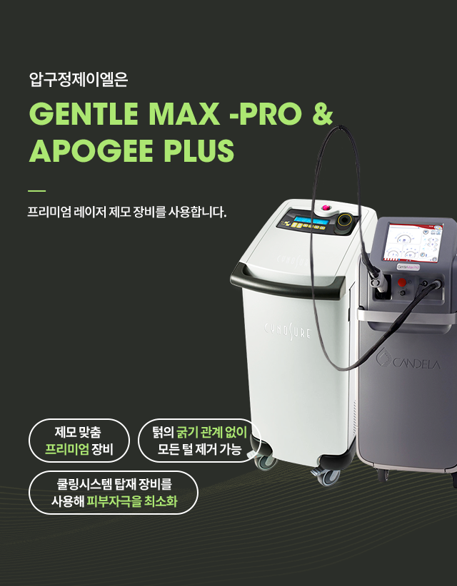 GENTLE MAX-PRO, APOGEE